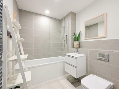 Picture 8